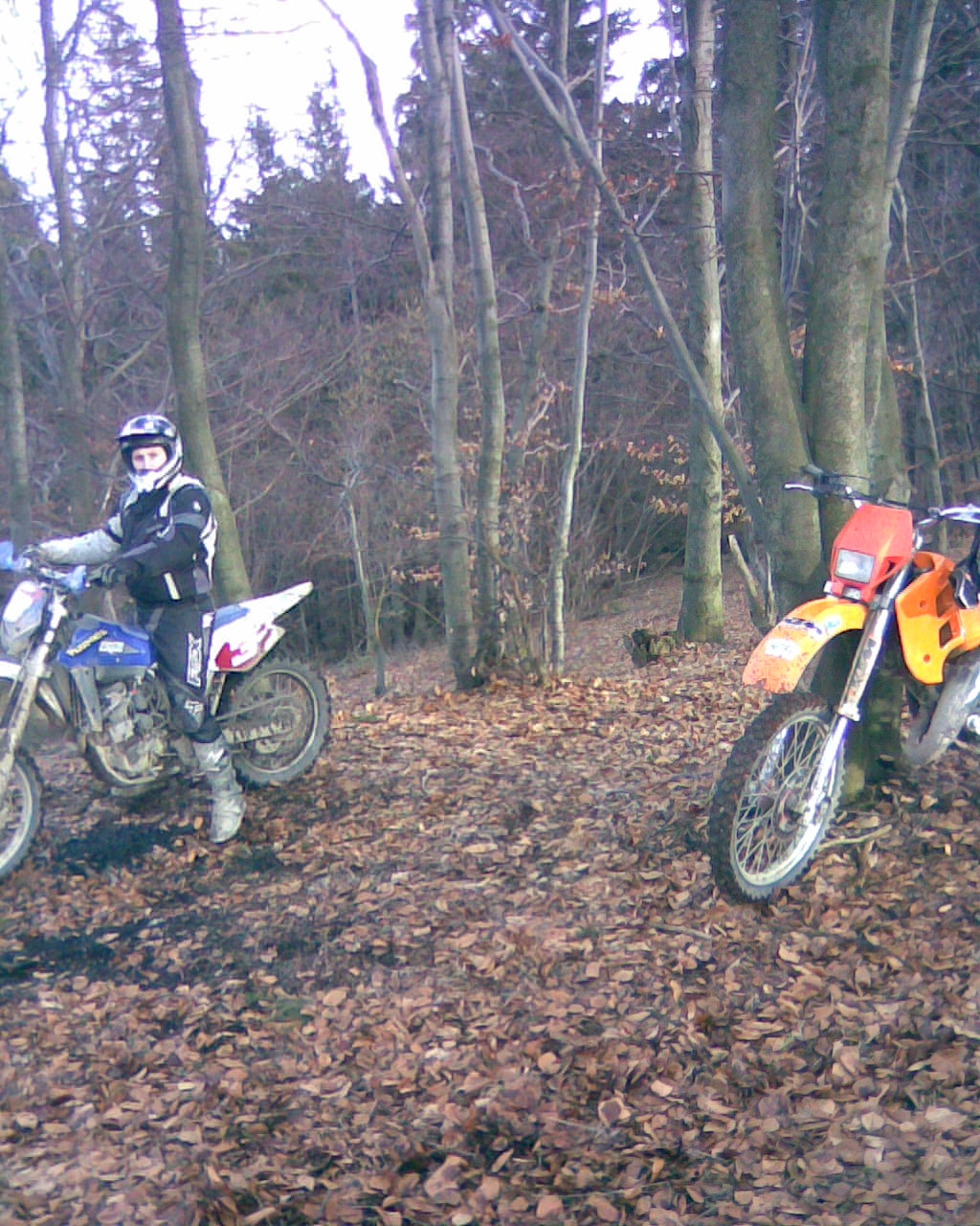 Husky boy a KTM